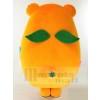 Bear mascot costume