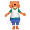 Bear mascot costume