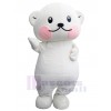 Bear mascot costume