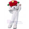 Bear mascot costume