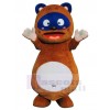 Bear mascot costume
