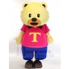 Bear mascot costume
