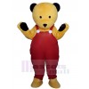 Bear mascot costume