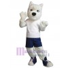 Dog mascot costume
