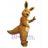 Kangaroo mascot costume