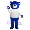 Bear mascot costume