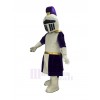 Knight mascot costume