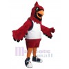 Cardinal Bird mascot costume