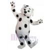 Dog mascot costume