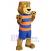 Bear mascot costume