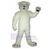 Bear mascot costume