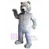 Bear mascot costume