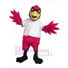 Cardinal Bird mascot costume