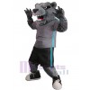 Bear mascot costume
