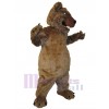 Bear mascot costume