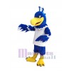 Hawk mascot costume