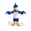 Hawk mascot costume