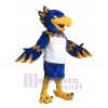 Hawk mascot costume