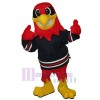 Hawk mascot costume