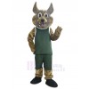 Coyote mascot costume