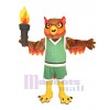 Owl mascot costume