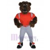 Bear mascot costume