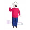 Bear mascot costume