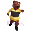 Bear mascot costume