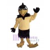 Falcon mascot costume