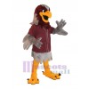 Falcon mascot costume