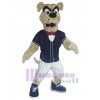 Dog mascot costume