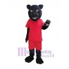 Panther mascot costume