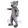 Wolf mascot costume