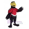 Crow mascot costume
