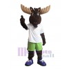 Moose mascot costume