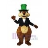 Squirrel mascot costume