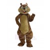 Squirrel mascot costume