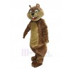Squirrel mascot costume