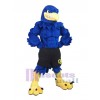 Falcon mascot costume