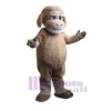 Sheep mascot costume