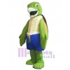 Turtle mascot costume