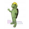 Turtle mascot costume