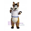 Kangaroo mascot costume