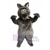 Wolf mascot costume