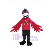 Raven mascot costume