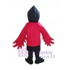 Raven mascot costume