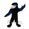 Raven mascot costume