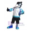 Raven mascot costume
