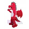 Dragon mascot costume