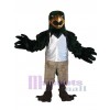 Falcon mascot costume
